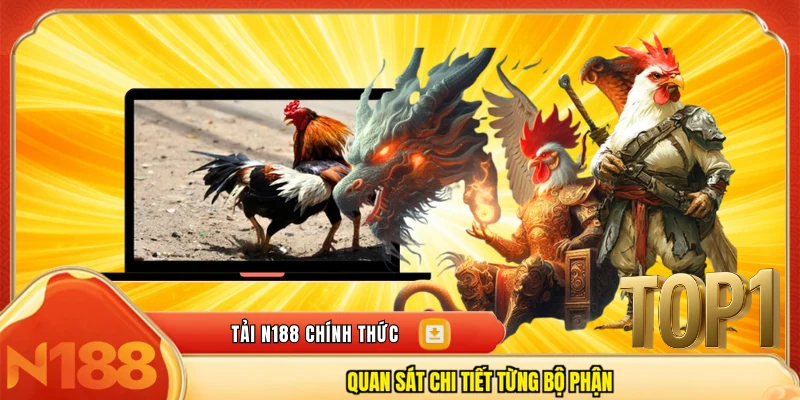 Quan sát chi tiết từng bộ phận